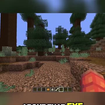 Discover Unique Dog Variants in Old Growth Pine and Spruce Taiga Biomes