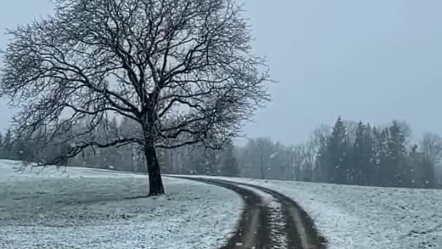 a common road on a special day