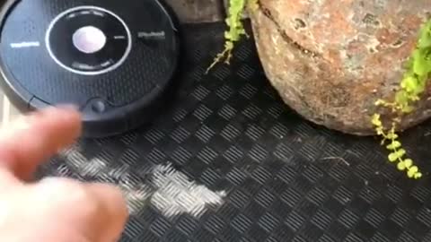 Robot Makes its Escape