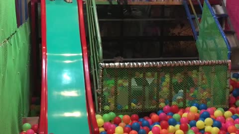 Doggy Having a Blast in the Ball Pit