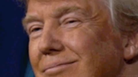 TRUMP ERECTION SYNDROM 🤪IL DONALDO TRUMPO
