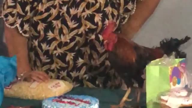 Pet Roosters Third Birthday Party