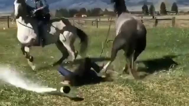Horse ruin there party๐๐