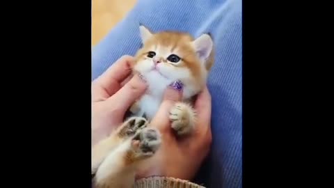 Do you have time for smile ?