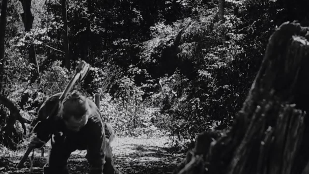 Kurosawa: Rashomon 1950