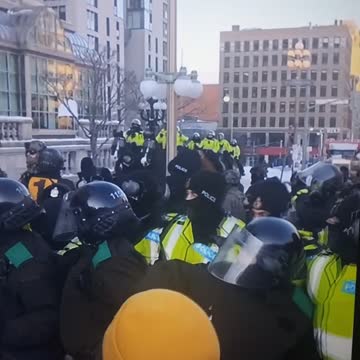 Ottawa police uses horses to trample on protester
