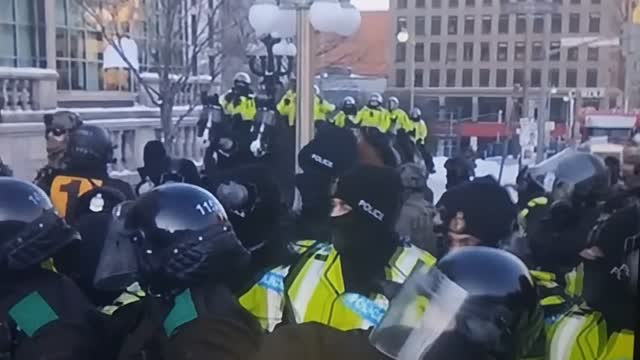 Ottawa police uses horses to trample on protester