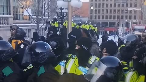 Ottawa police uses horses to trample on protester