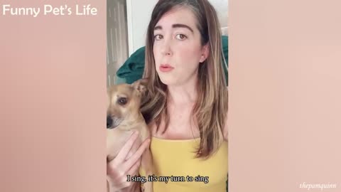 can't stop your laughing ,dogs acting with a young girl