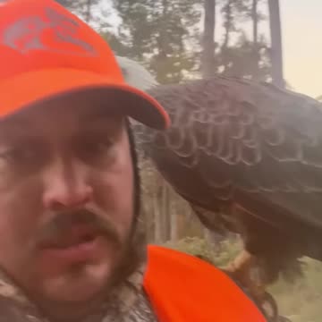 Bald Eagle Lands on Man’s Shoulder After Man Prayed for a Closer Look