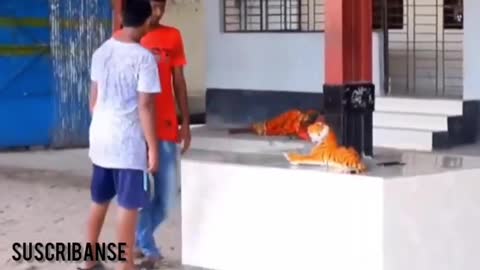 BEST FAKE TIGER VS HUMAN PRANK