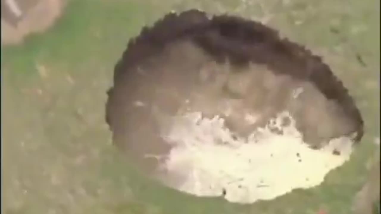 In August 2016, a shocking incident occurred at a home in Ipswich, Australia, when a