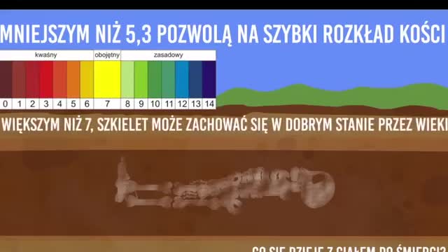 co sie dzieje z cialem po smierci