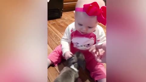 Dogs are the best friend of Babies 11