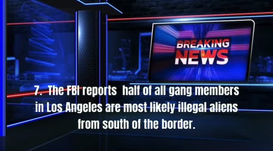 Illegal Alien Stats from LA