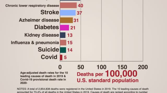 Top 10 Causes of Death