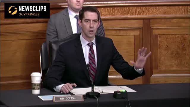 Senator Tom Cotton To DOD Witness