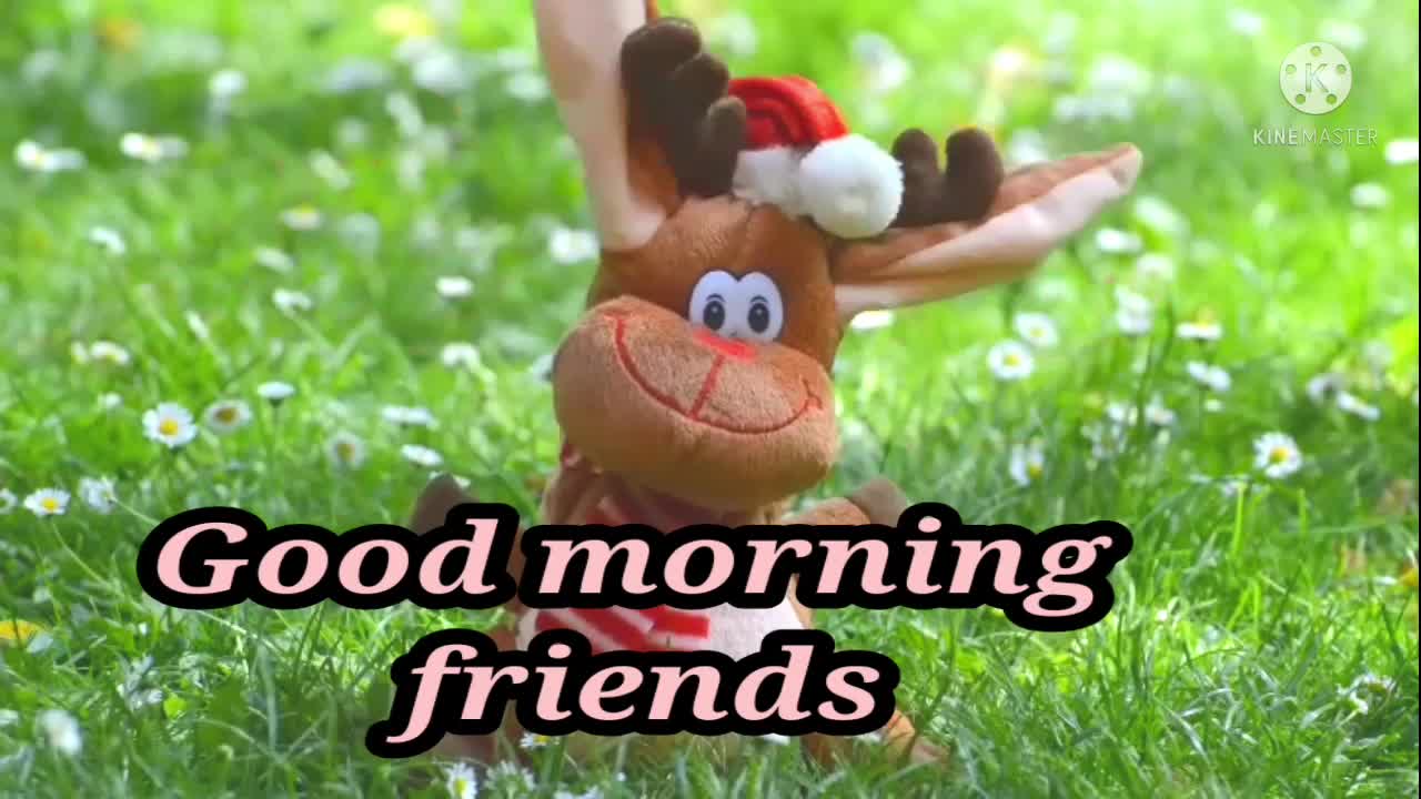 Good morning Top