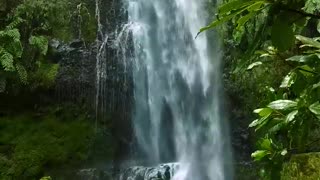 the beauty of the waterfall and the chirping of birds