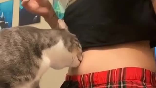 The cat who knows what to do