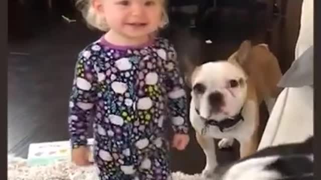 Cute Baby Girl Kissing Dogs Cutest and Funniest Baby Videos Try not to laugh