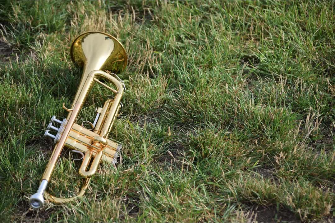 Praise to The Lord The Almighty, Lobe den Herren, Trumpet and Orchestra. J.S. Bach. BWV 137.
