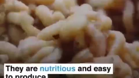 Filth-ridden psychopaths want people to be thrilled about this