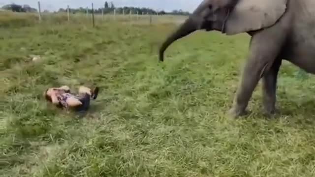 Most entertainment video clips