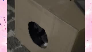 Omg just so cute!!
