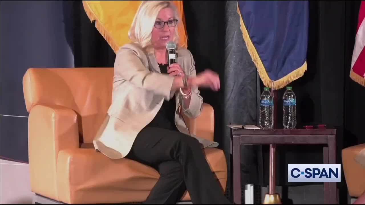 Liz Cheney ADMITS She'd Vote for Democrats
