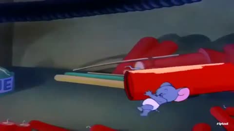 Tom and Jerry the lovely cat and mouse will make you laugh