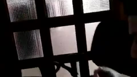 Dejan libre al Director de Revista Congreso tras ser detenido por agredir a periodista