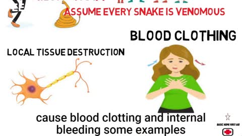 FIRST AID FOR A SNAKE BITE