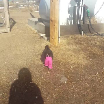 Gallo usa unos graciosos pantalones rosa con tiradores