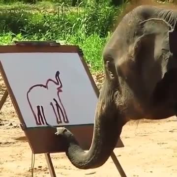 elephant impresses with its delicacy😱