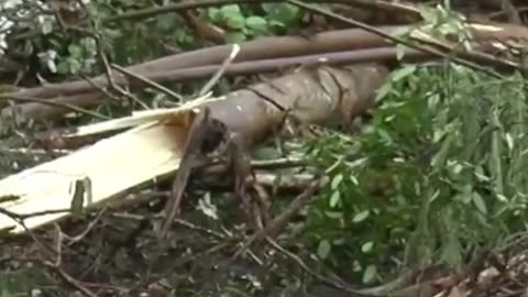 This is the kind of things that has been happening before the fires in Hawaii, land grabs