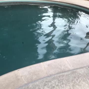 Our pool during Earthquake in California 12/2024