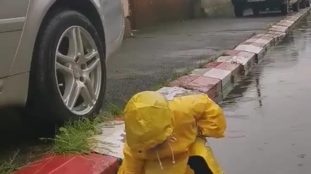 Immune system strenghtening