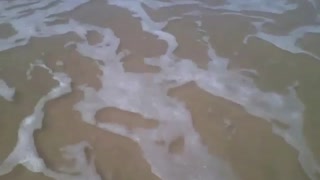 Pisando na areia da praia e recebendo a espuma do mar nos pés! [Nature & Animals]