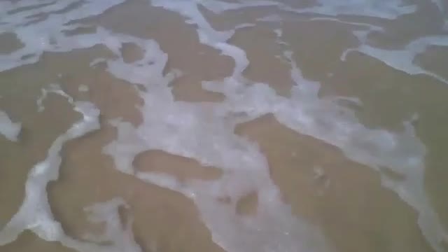 Pisando na areia da praia e recebendo a espuma do mar nos pés! [Nature & Animals]