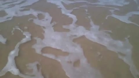 Pisando na areia da praia e recebendo a espuma do mar nos pés! [Nature & Animals]