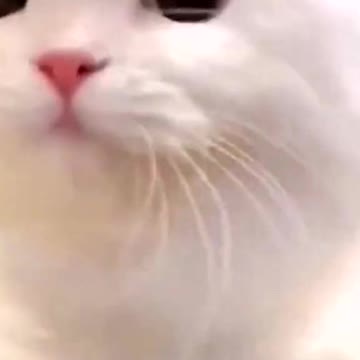 Would you want me? 😳