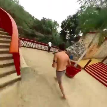 funny, cats, funny animals, funny cats,