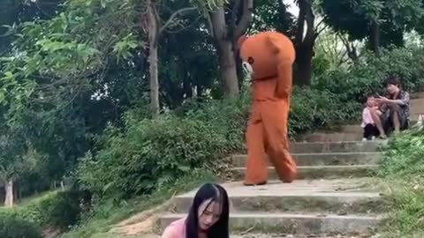 Funny Videos