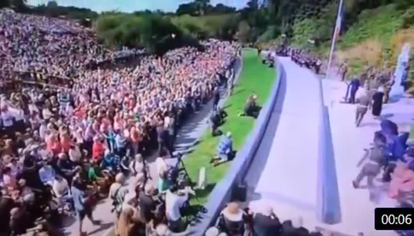 VACCINE JABBED SOLDIER COLLAPSES AT MICHAEL COLLINS COMMEMORATION BESIDE TRAITOR MICHAEL MARTIN