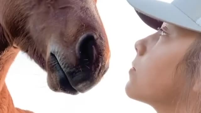 Young horse can't stop kissing caretaker