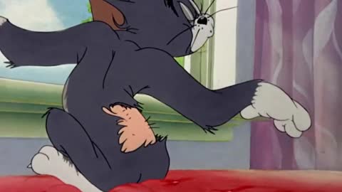 Tom and Jerry / Funny moments compilation 😂😎