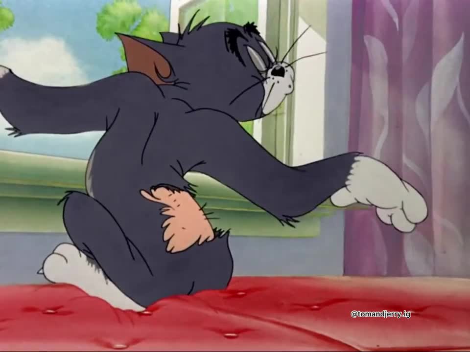Tom and Jerry / Funny moments compilation 😂😎