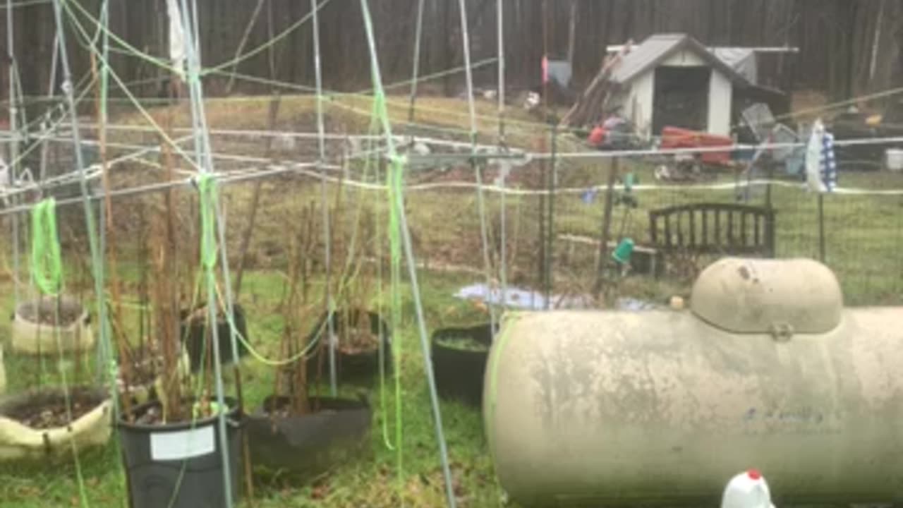 Political 3 card Monte’ & Bin Laden American groupies p 06 Dean Karayanis Rumble