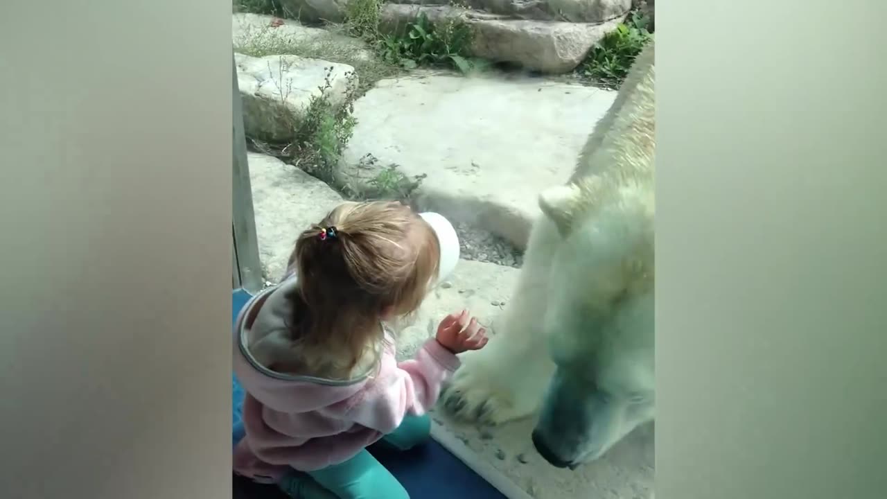 Funny Children | Zoo